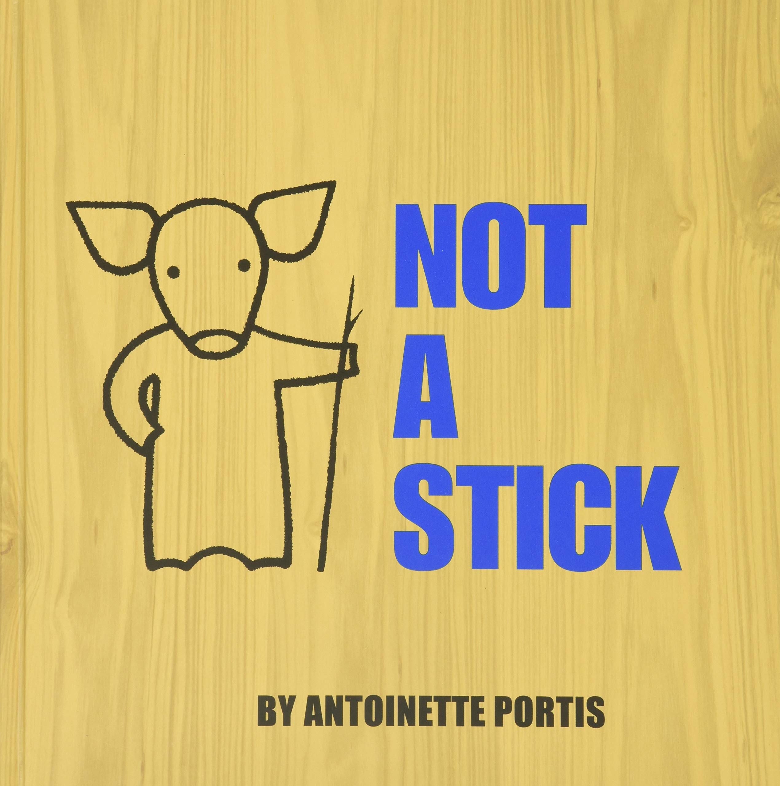 Not a Stick book cover